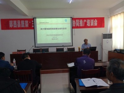 鄖西縣舉辦2019年蔬菜“三減三增”健康栽培技術協同推廣培訓班