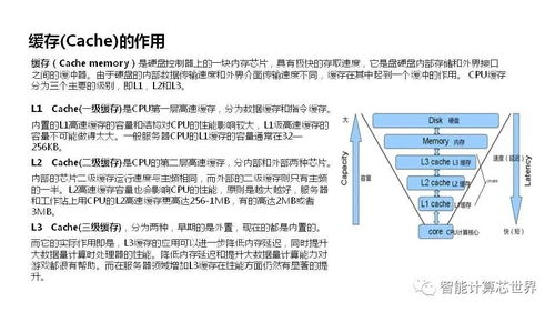 從基礎到高級的服務器技術解析