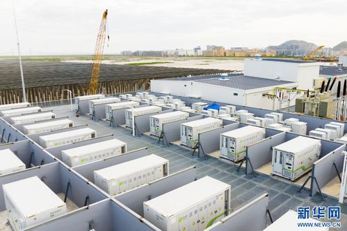 浙江溫州 追光逐風 激活 綠電 新動能